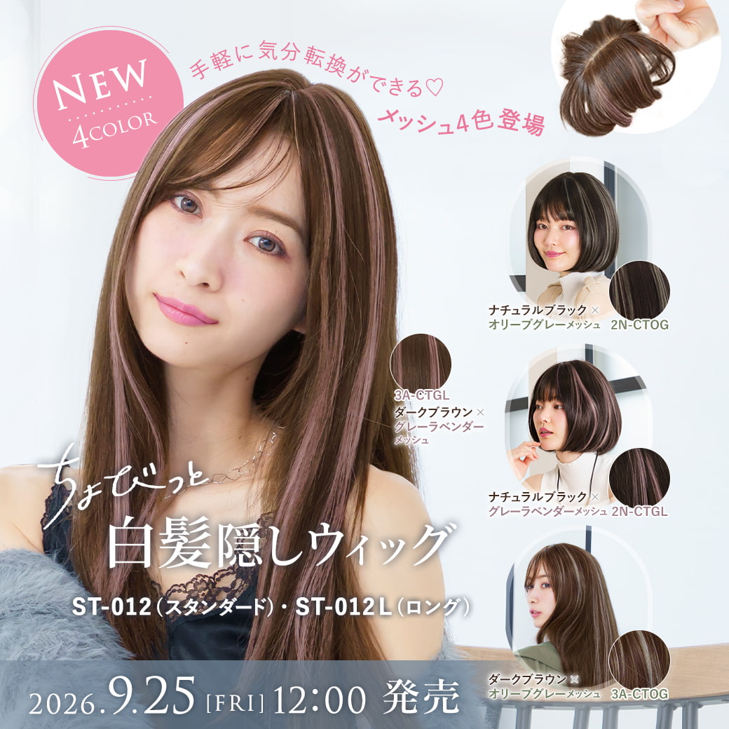 ST-012ちょびっと白髪隠しウィッグ（スタンダード・ロング）【9月25日新色追加】,プリシラ,PRISILA,メッシュ,パーツウィッグ