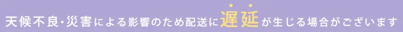 配送業者における配送遅延が発生しております。