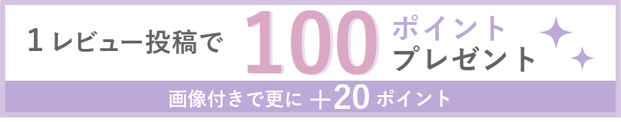 レビューを書く