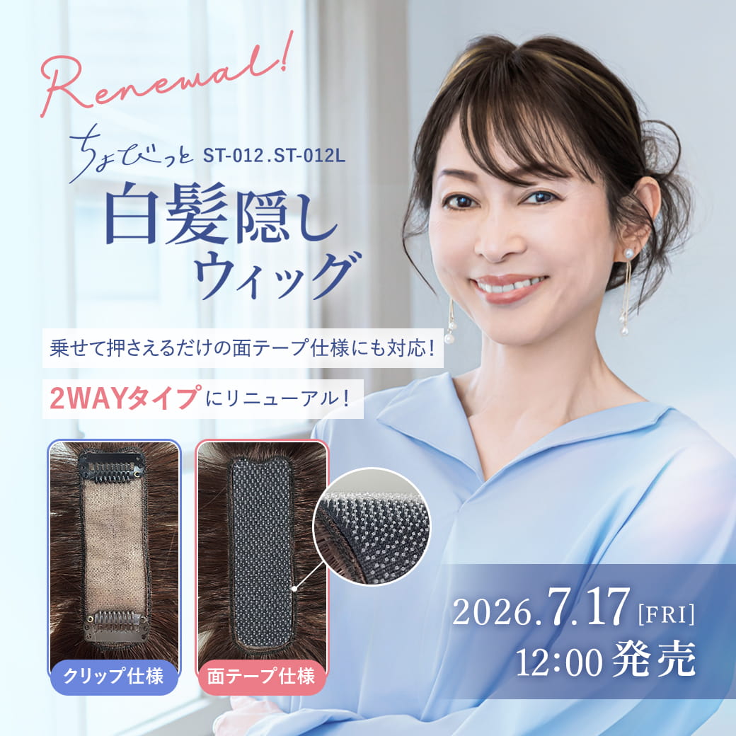 ST-012ちょびっと白髪隠しウィッグ（スタンダード・ロング）【7月17日リニューアル販売開始】,プリシラ,PRISILA,メッシュ,パーツウィッグ