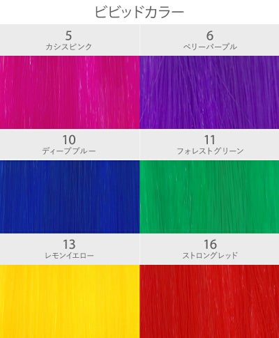 【セルフでできる!】10秒カラーメッシュ【EX-100】カラーチャート　ビビッドカラー　ヴィヴィッド