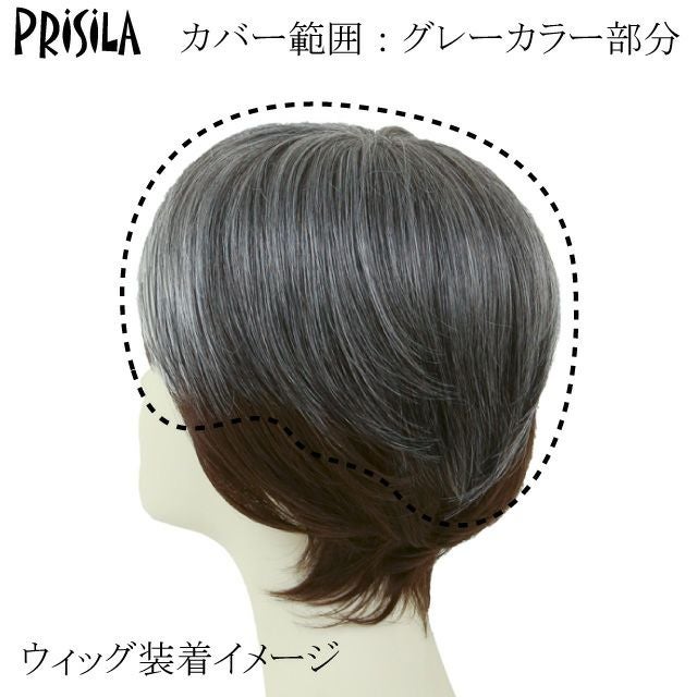 男性用五分ウィッグ【ミディアムショート】 品番GB-24耐熱 ウィッグ装着イメージ カバー範囲