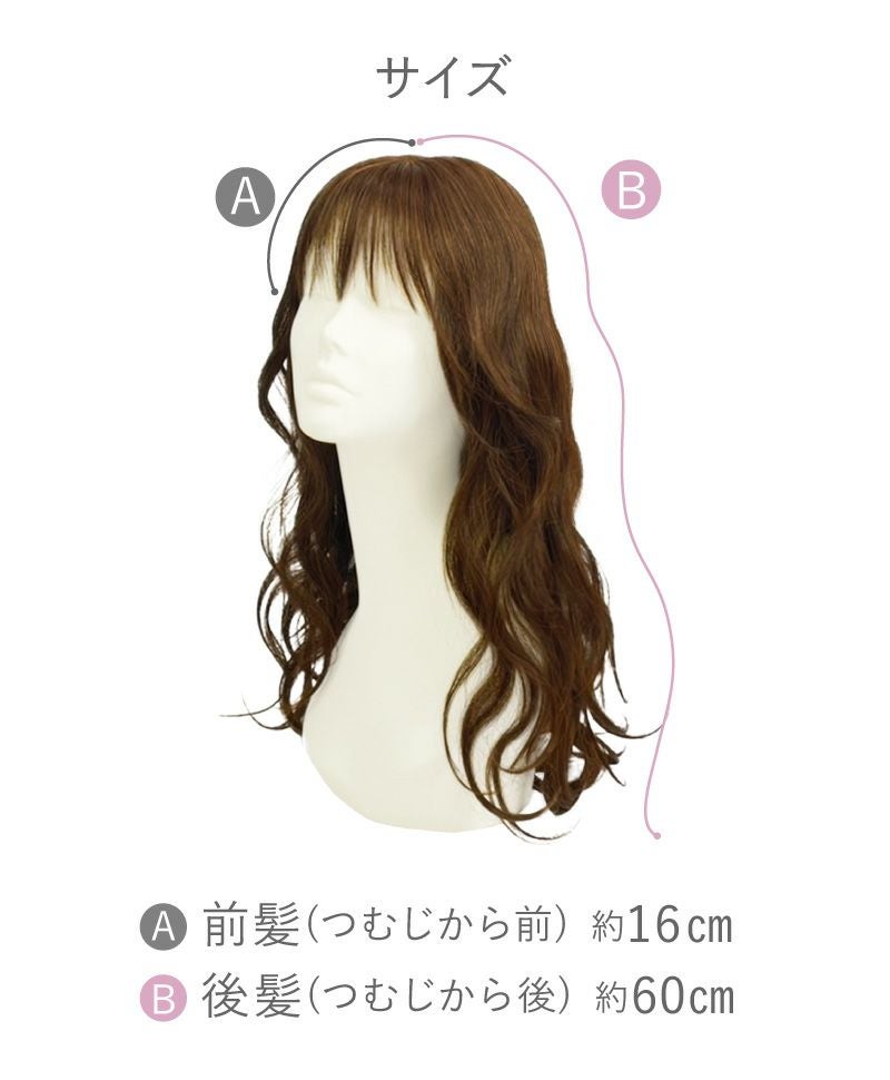 【公式サイト限定】PRISILA Limi手植えオールウィッグ(人毛ミックス)【ローザカールロング】LA-005(S・Mサイズあり) スペック　サイズ